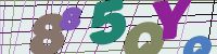 Chuck Norris has counted to infinity. Twice.