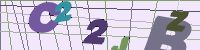 Chuck Norris has counted to infinity. Twice.
